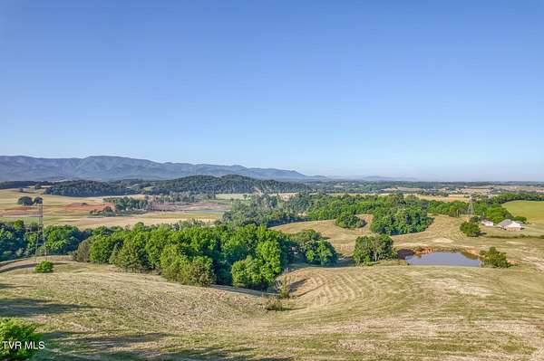 56 Acres of Land for Sale in Limestone, Tennessee