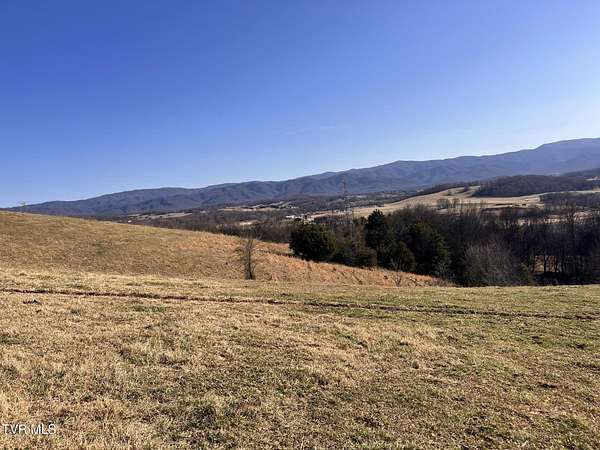 56 Acres of Land for Sale in Limestone, Tennessee