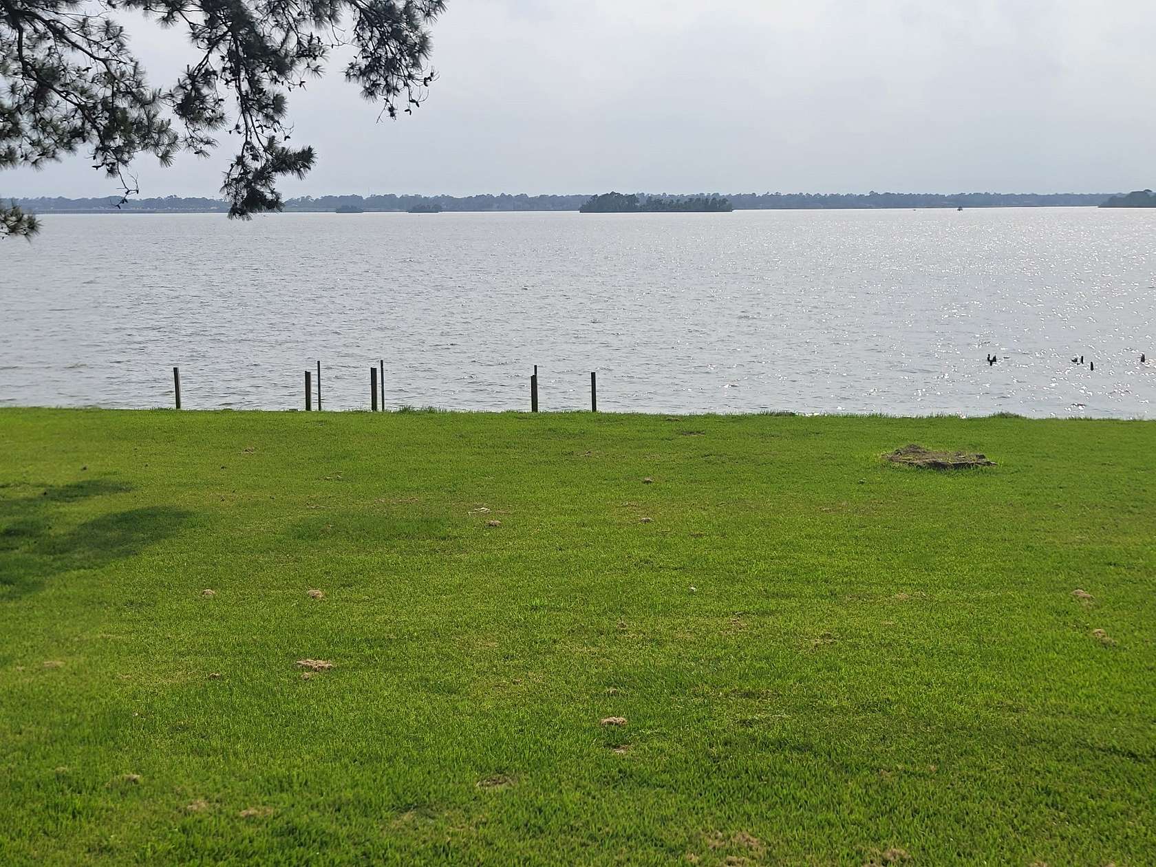 0.29 Acres of Land for Sale in Houston, Texas