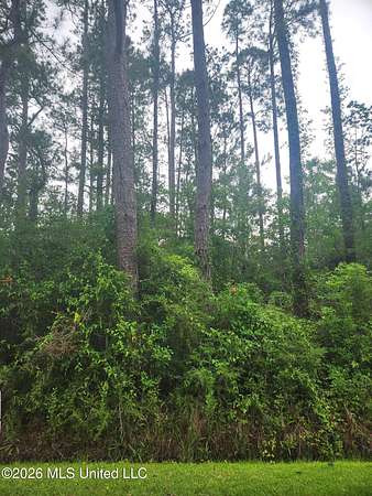0.11 Acres of Residential Land for Sale in Bay St. Louis, Mississippi