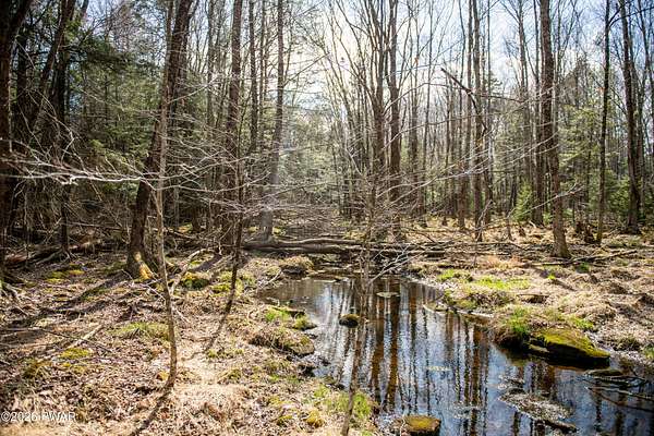 1.36 Acres of Residential Land for Sale in Pocono Lake, Pennsylvania