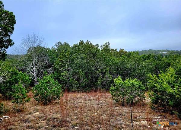 0.92 Acres of Residential Land for Sale in Fischer, Texas