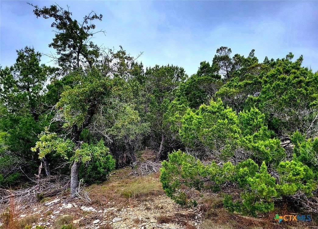 0.92 Acres of Residential Land for Sale in Fischer, Texas