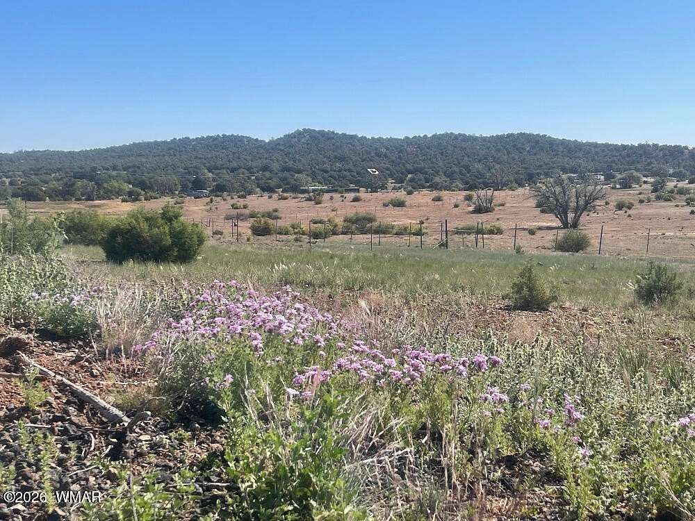 6 Acres of Residential Land for Sale in Clay Springs, Arizona