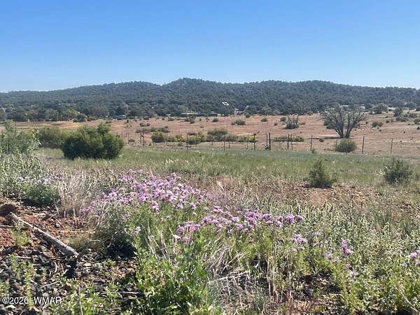 6 Acres of Residential Land for Sale in Clay Springs, Arizona