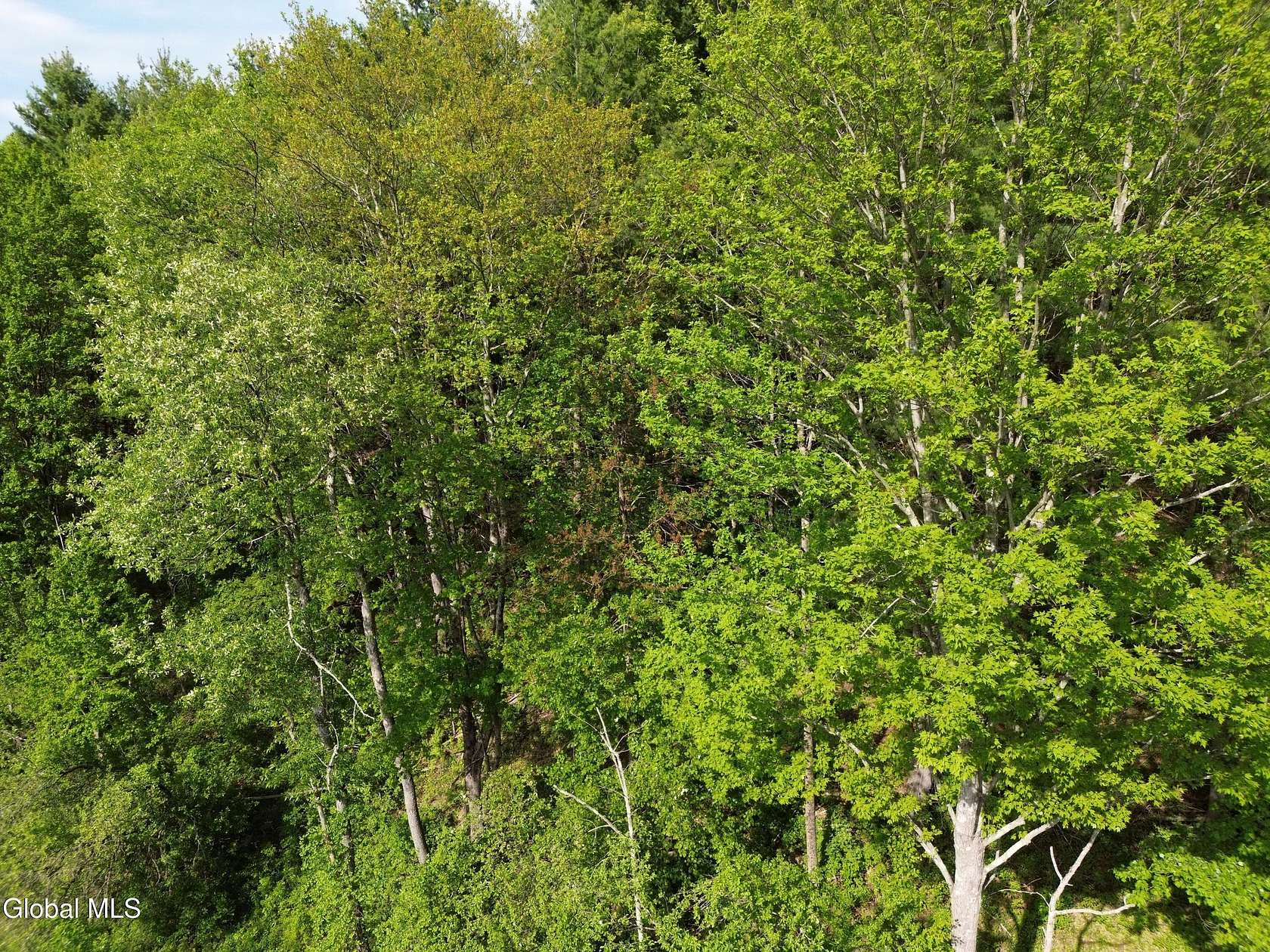 7.19 Acres of Residential Land for Sale in Cambridge, New York