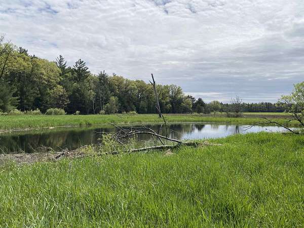19 Acres of Land for Sale in Wautoma, Wisconsin