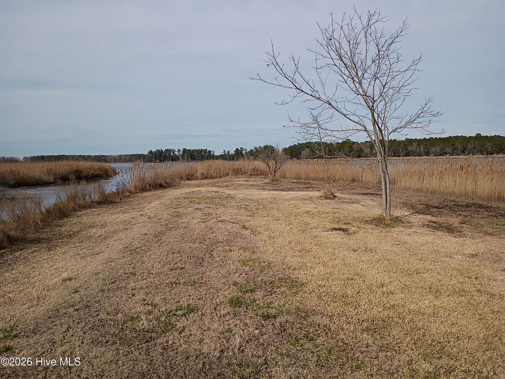 0.42 Acres of Residential Land for Sale in Aurora, North Carolina