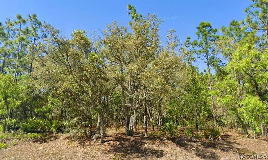 1 Acre of Residential Land for Sale in Beverly Hills, Florida