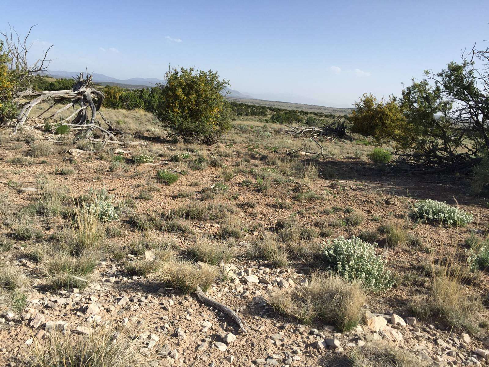 30.4 Acres of Recreational Land for Sale in Ancho, New Mexico