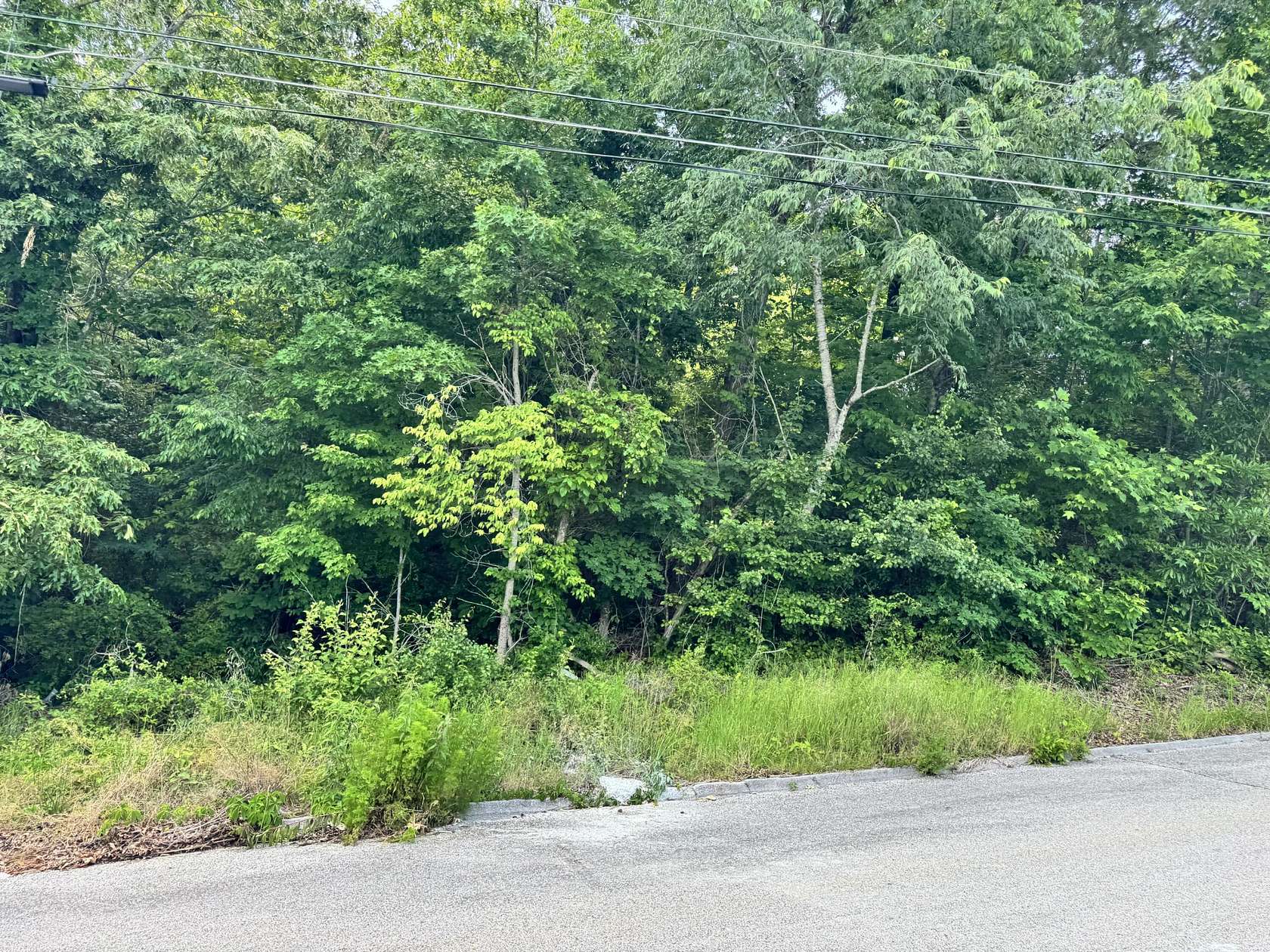 1.5 Acres of Residential Land for Sale in Harrison, Tennessee