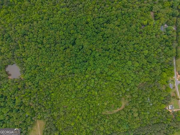 10 Acres of Recreational & Residential Land for Sale in Taylorsville, Georgia