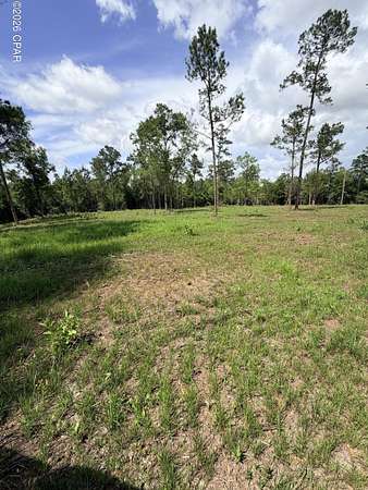 30 Acres of Recreational & Residential Land for Sale in Marianna, Florida