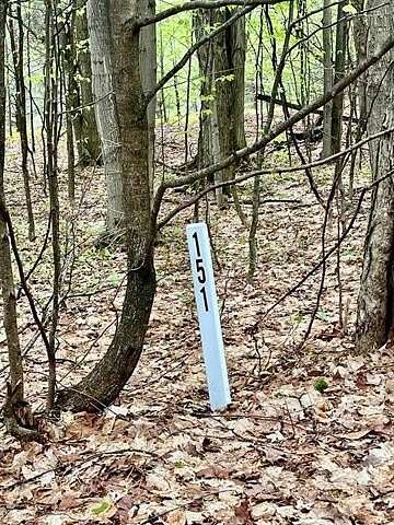 0.75 Acres of Land for Sale in Custer Township, Michigan