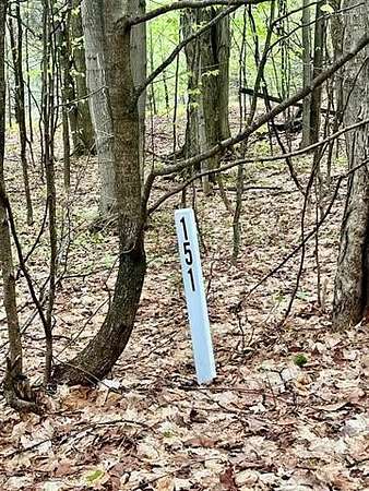 0.75 Acres of Land for Sale in Custer Township, Michigan