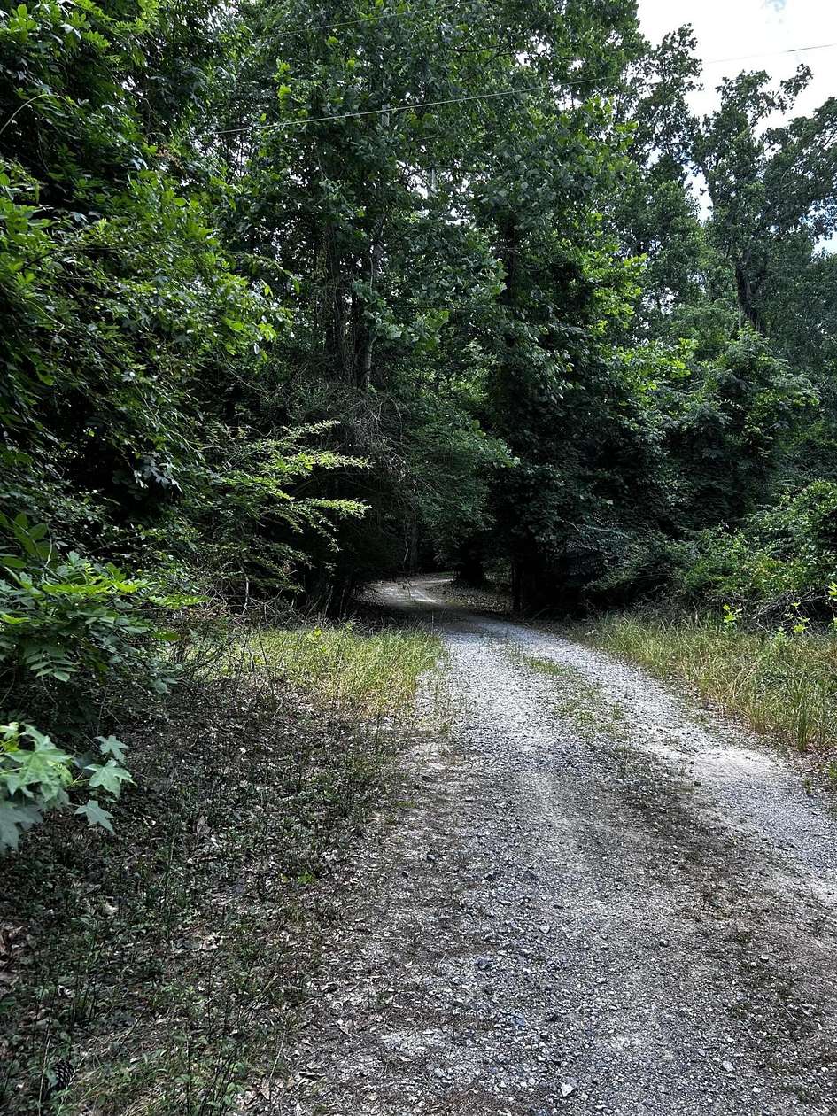 52.2 Acres of Land for Sale in Ridgeville, South Carolina