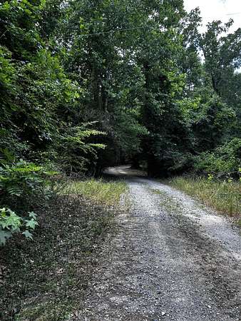 52.2 Acres of Land for Sale in Ridgeville, South Carolina