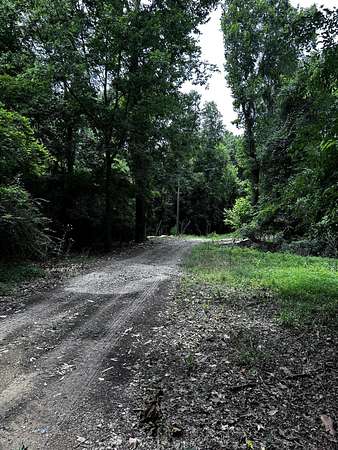 52.2 Acres of Land for Sale in Ridgeville, South Carolina