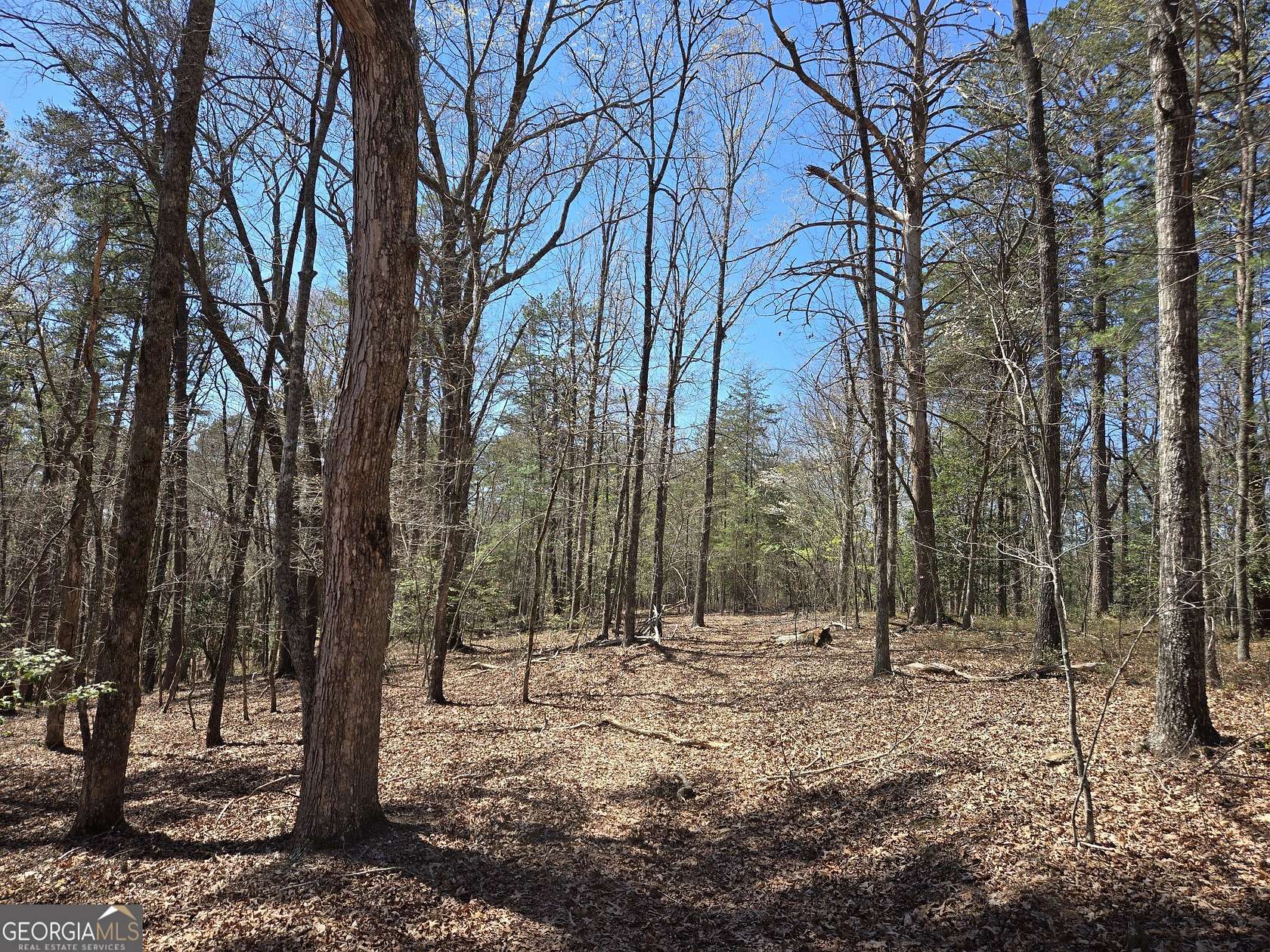 5.59 Acres of Residential Land for Sale in Cleveland, Georgia