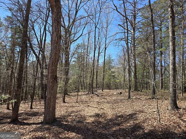5.59 Acres of Residential Land for Sale in Cleveland, Georgia