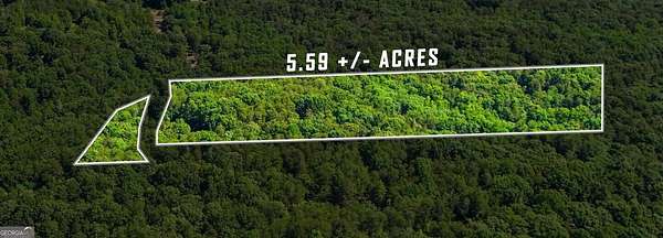 5.59 Acres of Residential Land for Sale in Cleveland, Georgia
