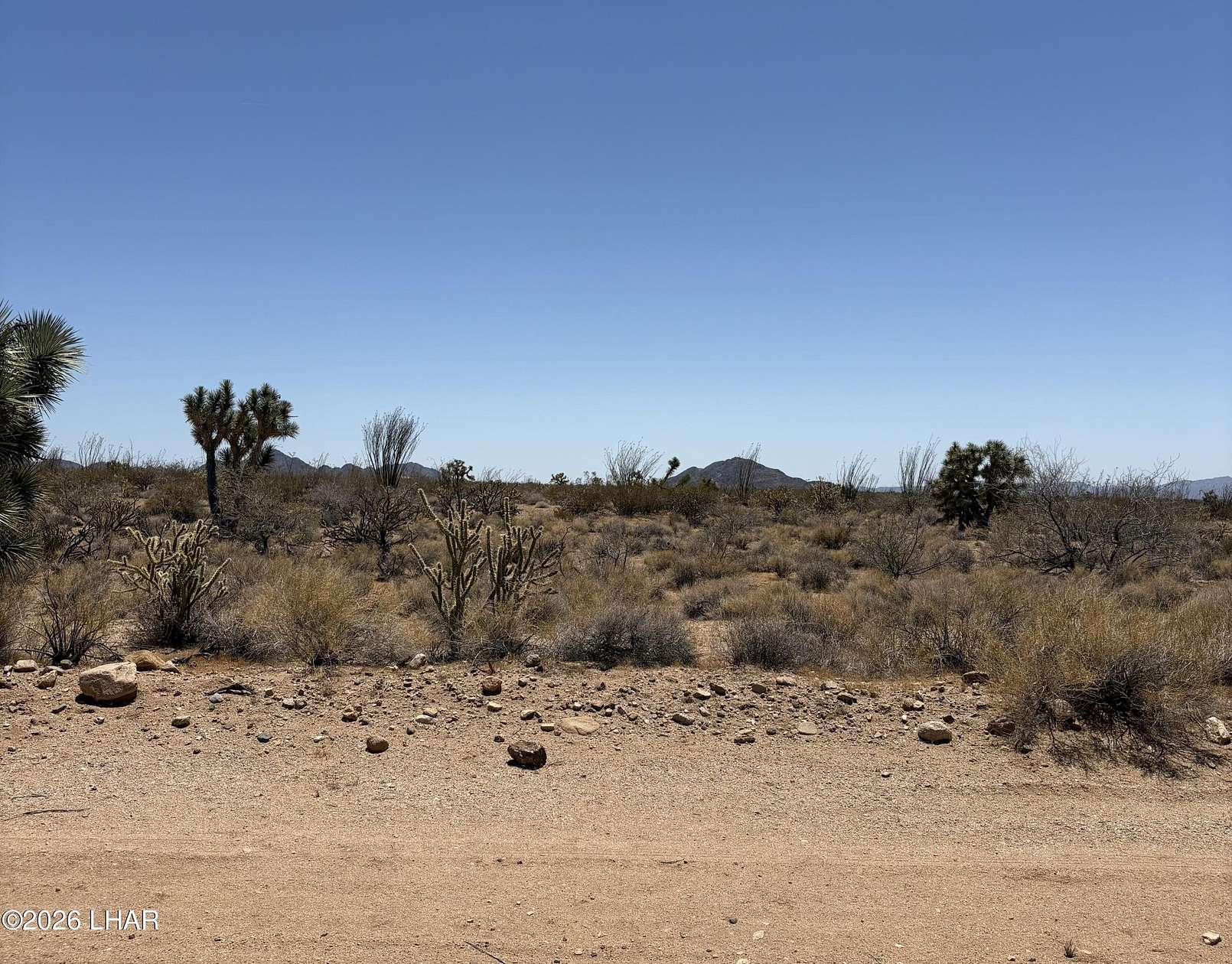 1 Acre of Commercial Land for Sale in Yucca, Arizona
