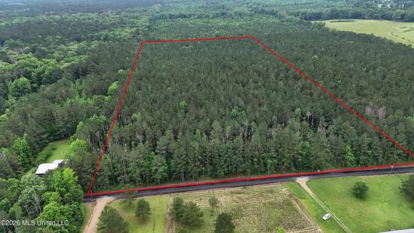 20 Acres of Land for Sale in Morton, Mississippi