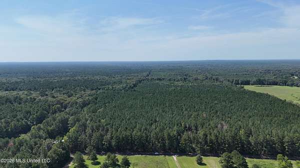 20 Acres of Land for Sale in Morton, Mississippi