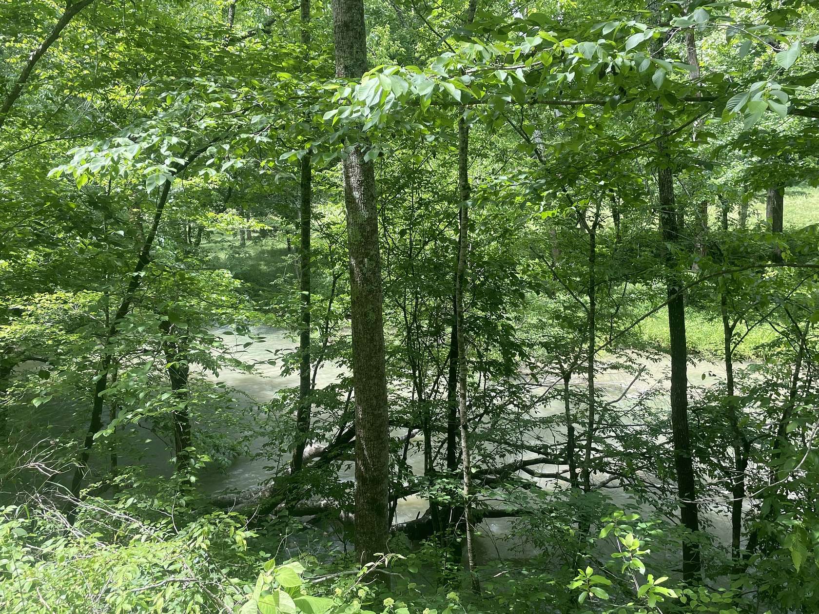 5.18 Acres of Residential Land for Sale in Crawford, Tennessee