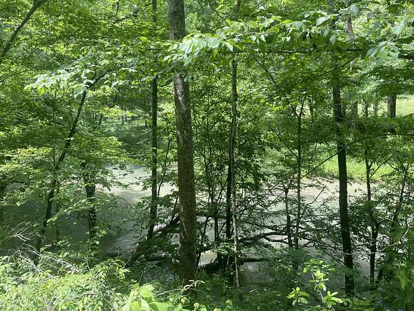 5.18 Acres of Residential Land for Sale in Crawford, Tennessee