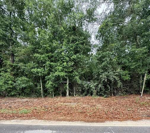 2 Acres of Residential Land for Sale in North, South Carolina