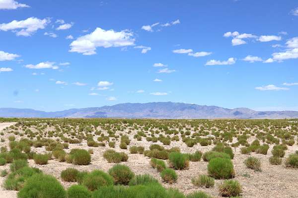 2 Acres of Residential Land for Sale in Veguita, New Mexico