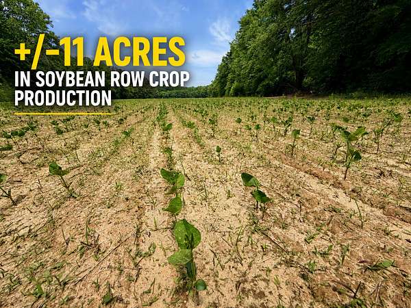 26 Acres of Land for Sale in Booneville, Mississippi