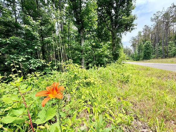 14 Acres of Land for Sale in Booneville, Mississippi