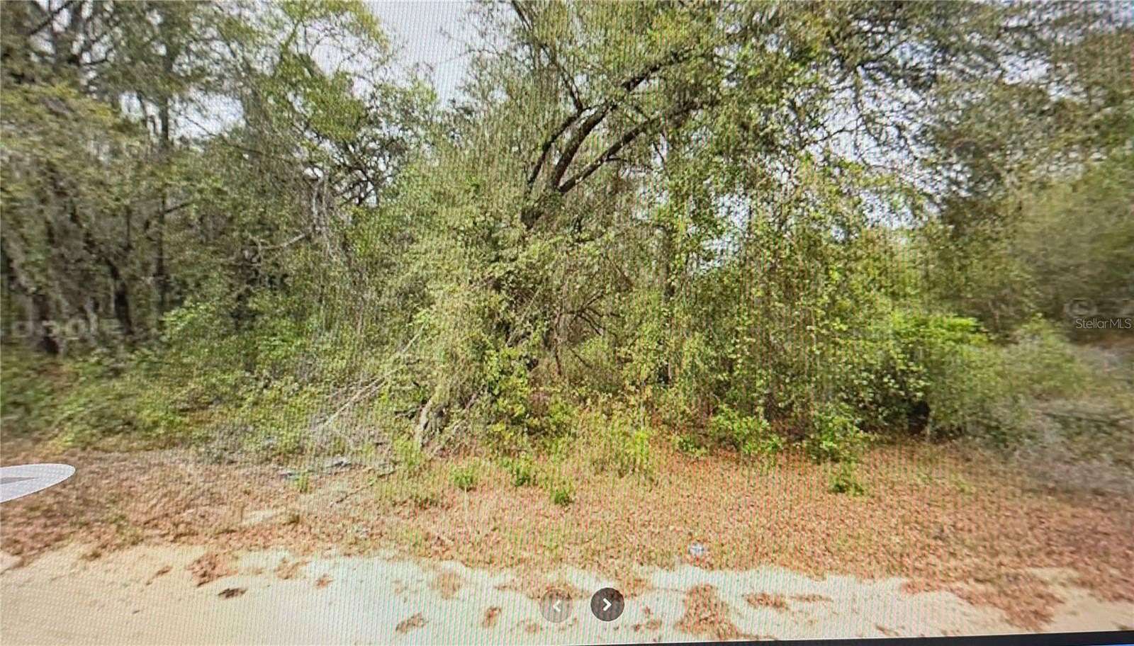 0.43 Acres of Residential Land for Sale in Interlachen, Florida