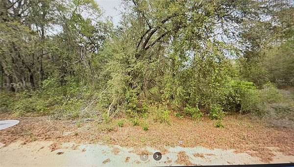 0.43 Acres of Residential Land for Sale in Interlachen, Florida