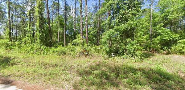 1.5 Acres of Residential Land for Sale in Fort McCoy, Florida