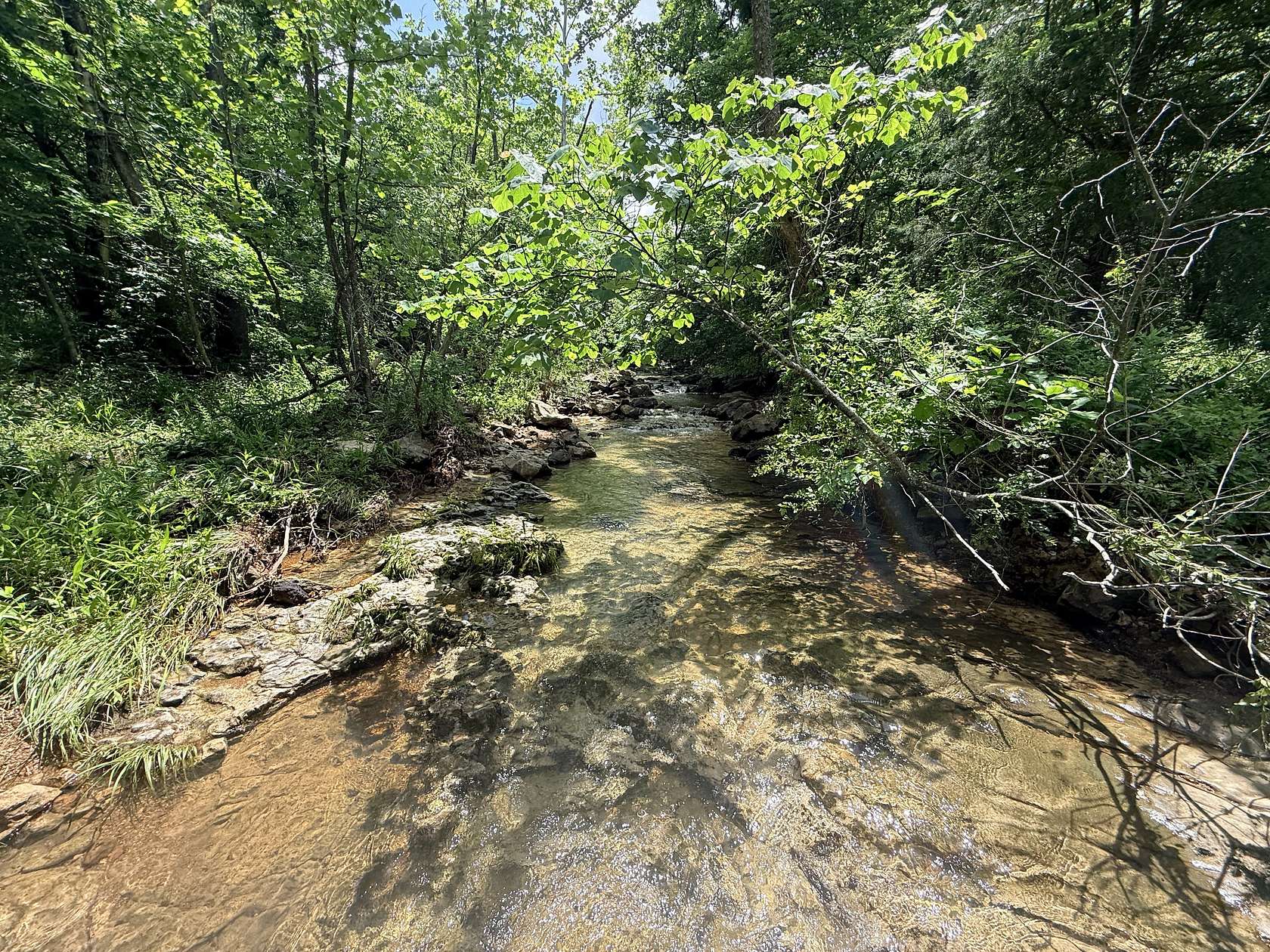 37 Acres of Recreational Land for Sale in Edwards, Missouri