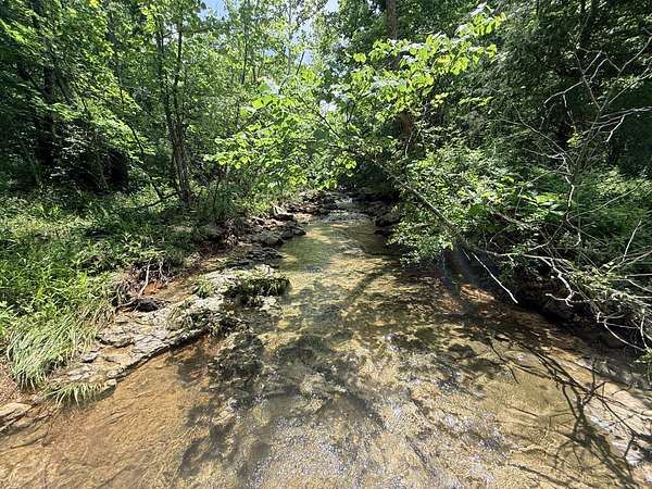 37 Acres of Recreational Land for Sale in Edwards, Missouri