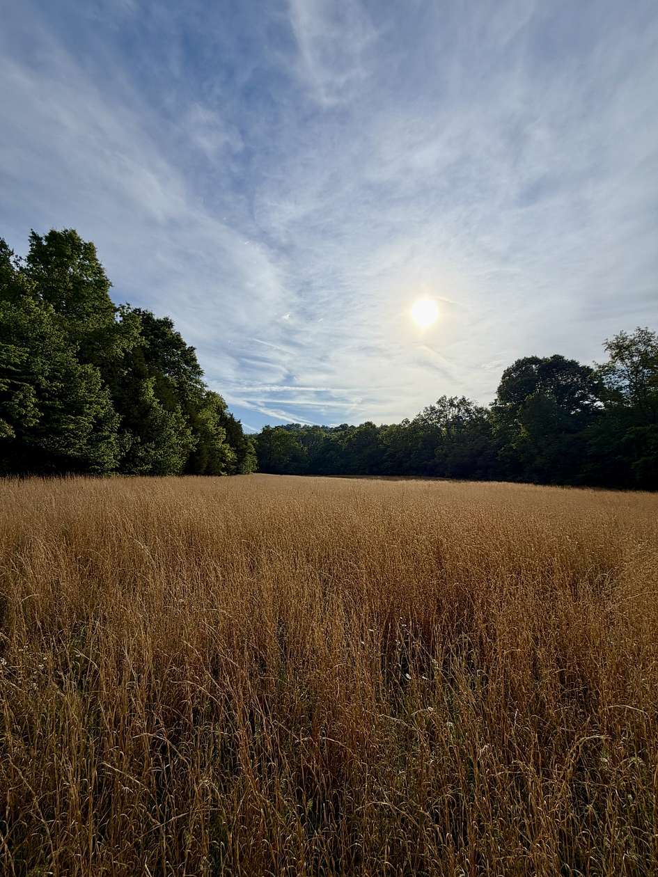 14.7 Acres of Land for Sale in Williamsport, Tennessee