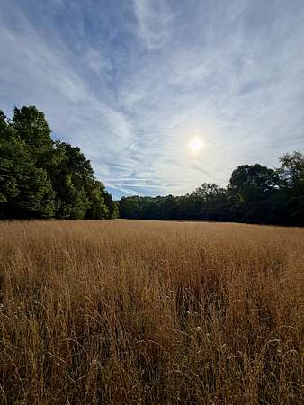 14.7 Acres of Land for Sale in Williamsport, Tennessee