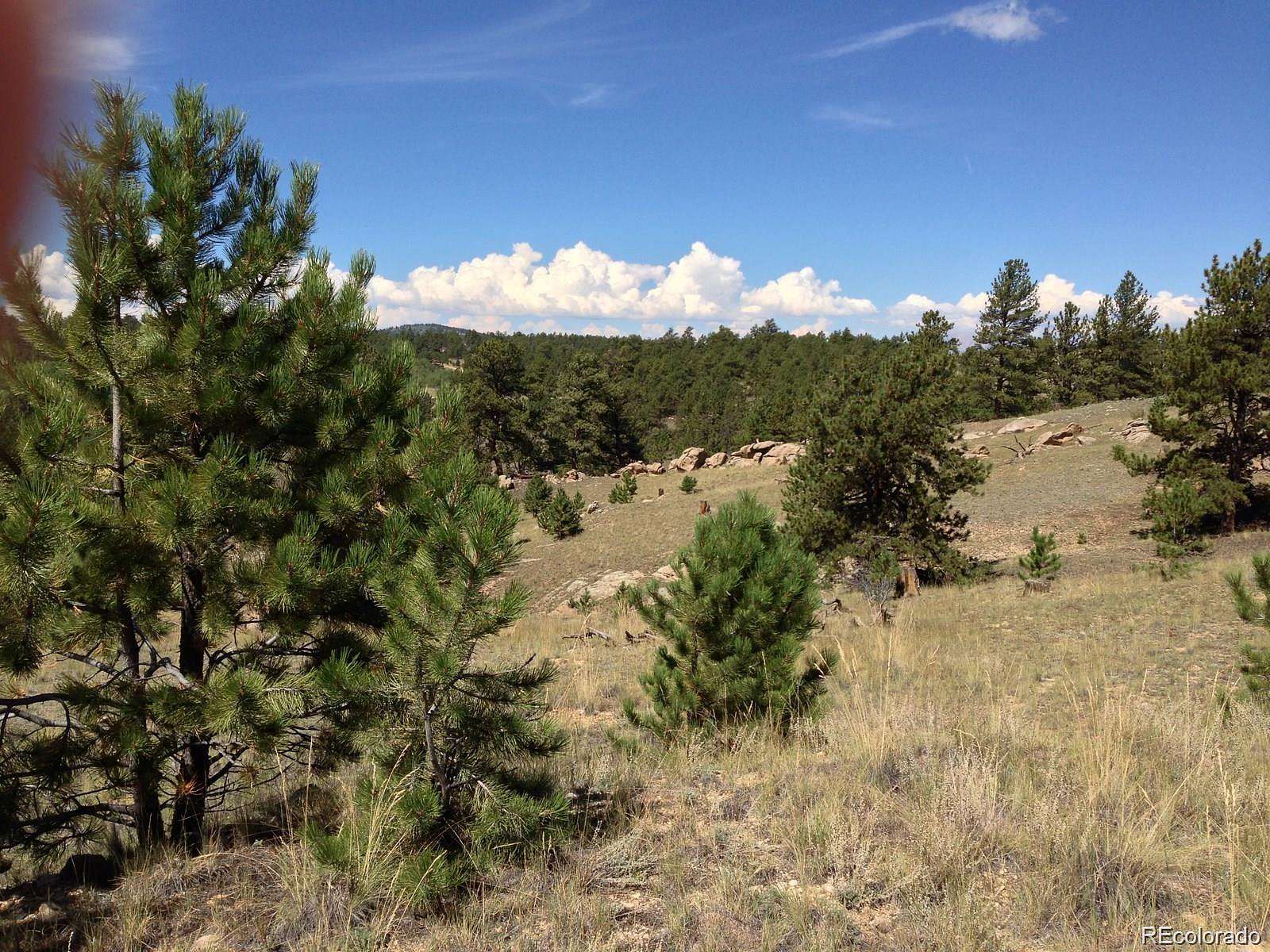 5 Acres of Residential Land for Sale in Hartsel, Colorado
