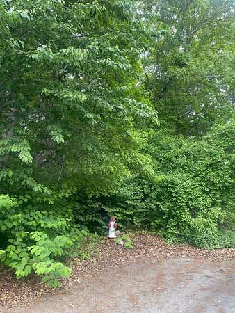 0.22 Acres of Residential Land for Sale in Fall River, Massachusetts