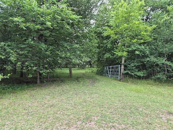 3 Acres of Residential Land for Sale in Wolfe City, Texas