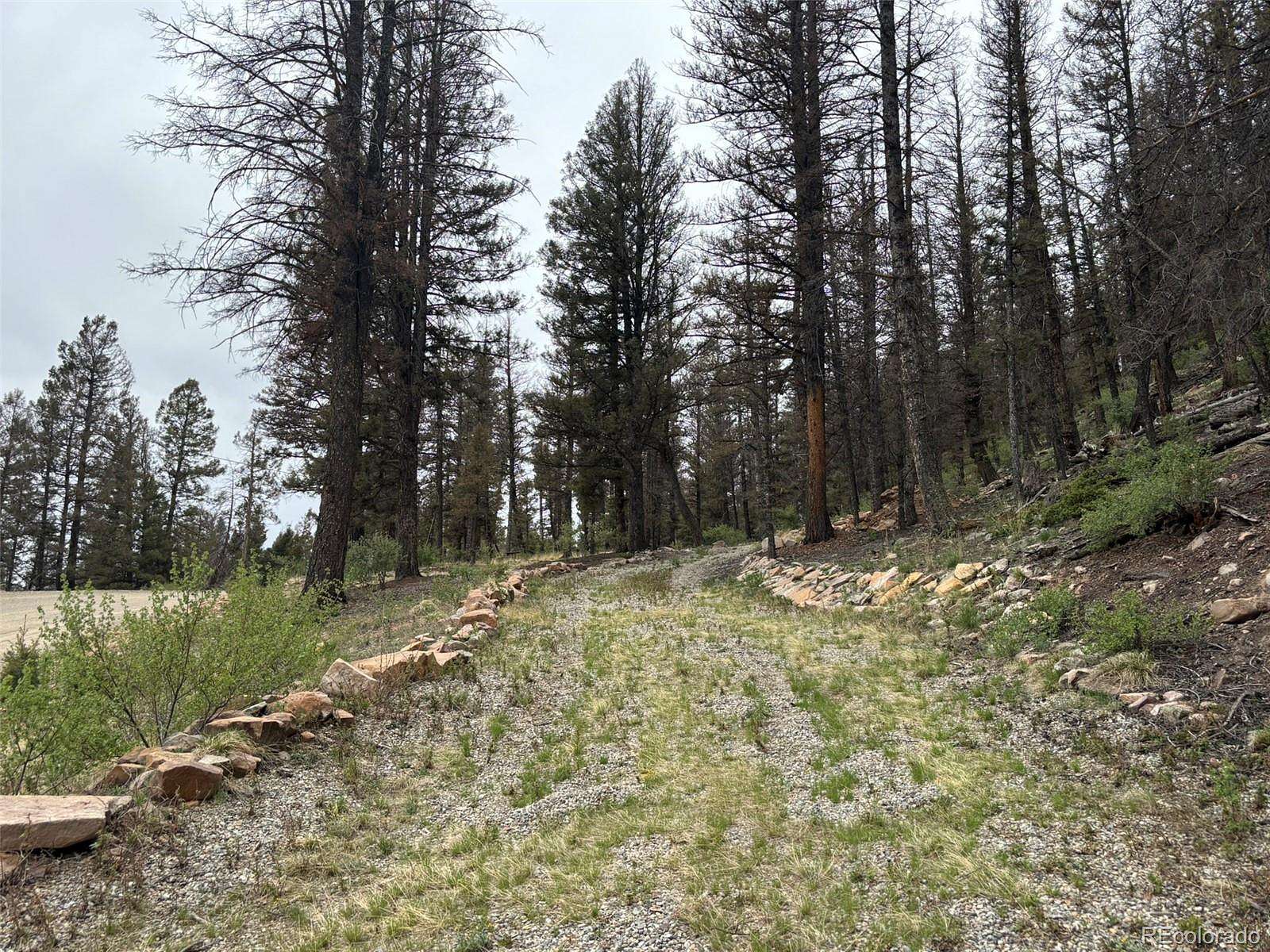 3 Acres of Residential Land for Sale in Fairplay, Colorado