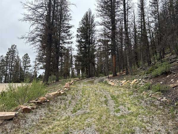 3 Acres of Residential Land for Sale in Fairplay, Colorado