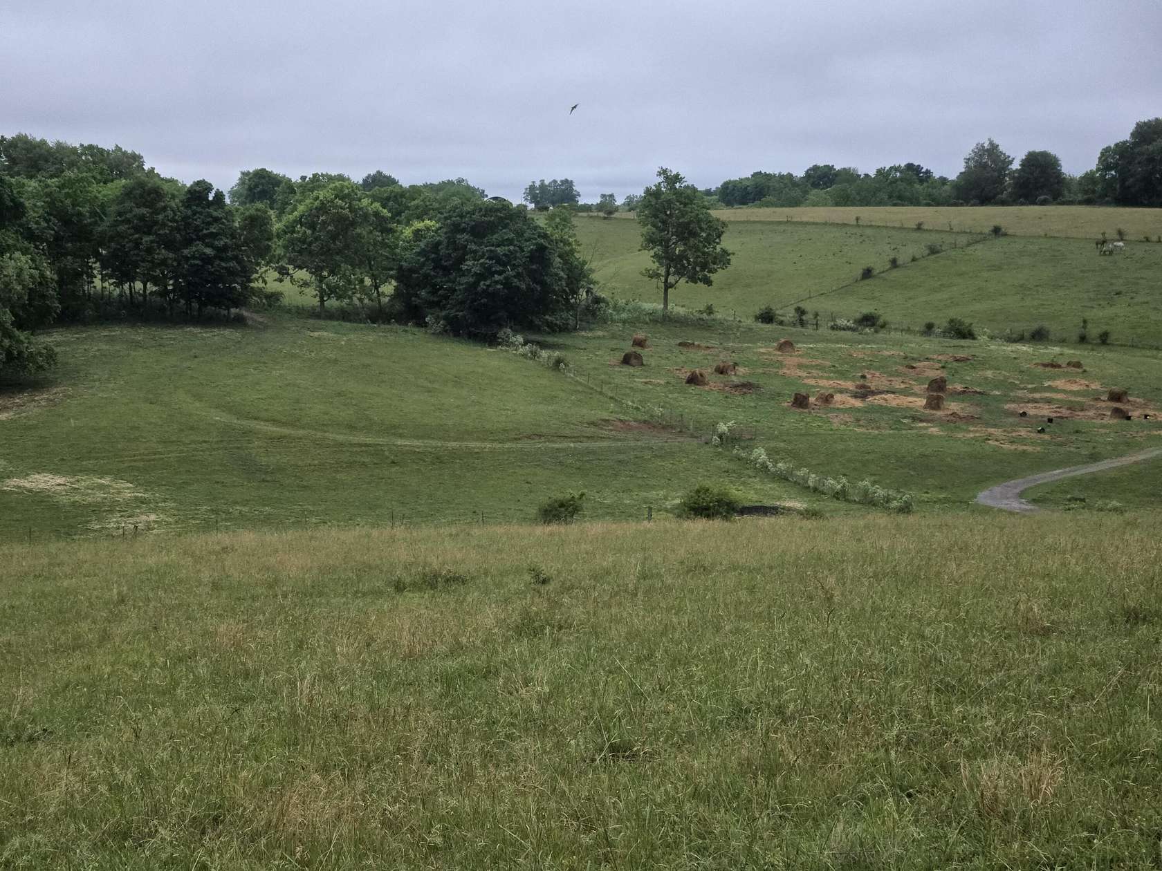 75 Acres of Land for Sale in Stanford, Kentucky