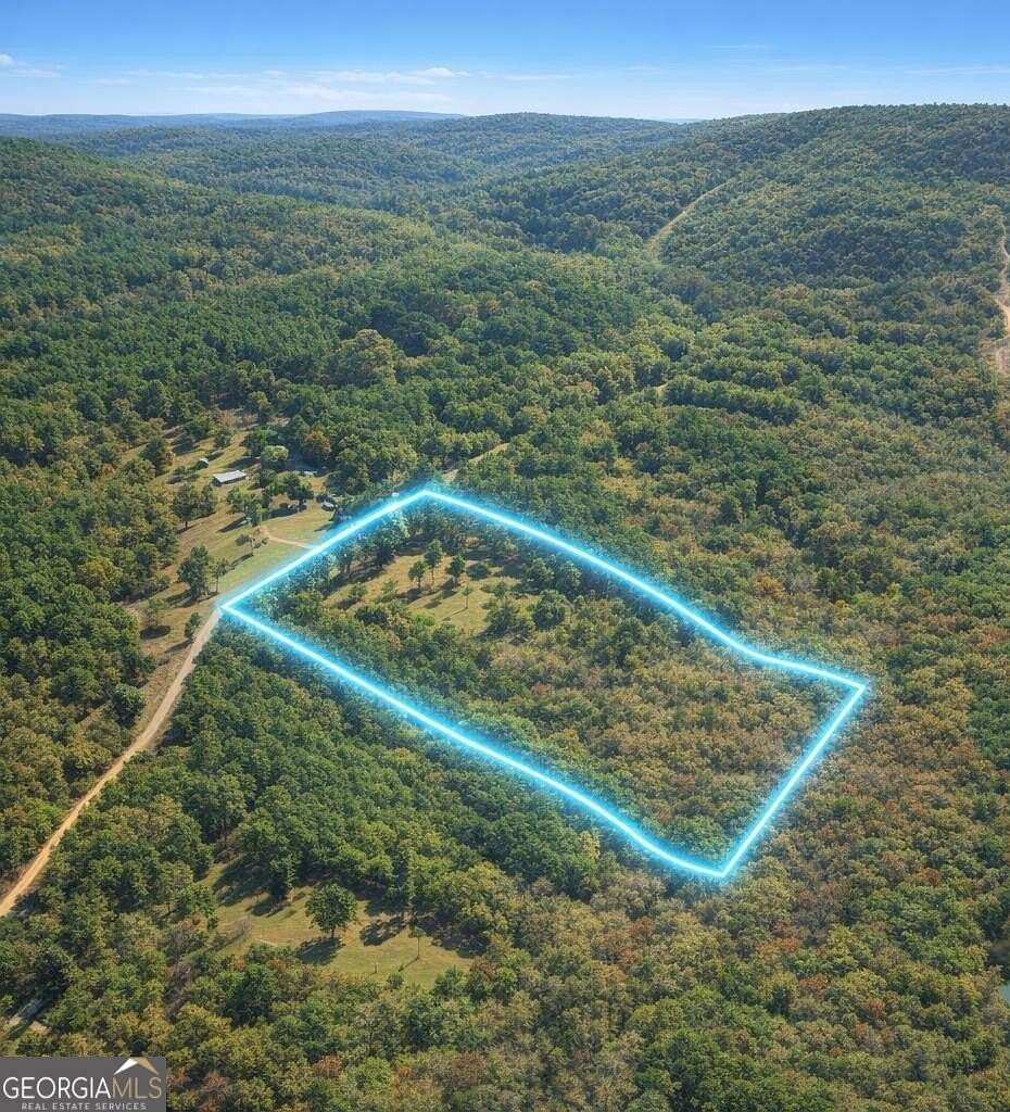 19.8 Acres of Land for Sale in Greenville, Georgia