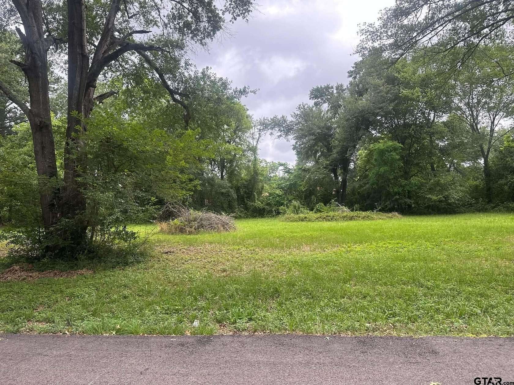 0.3 Acres of Residential Land for Sale in Palestine, Texas