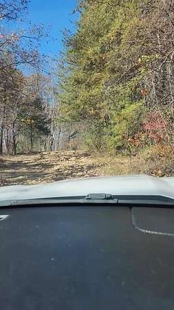 9 Acres of Residential Land for Sale in Mount Vernon, Kentucky